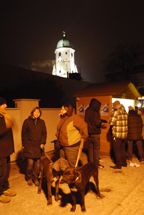 Altgassenfest